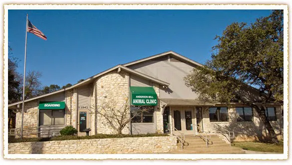 VCA Anderson Mill Animal Hospital Picture 2