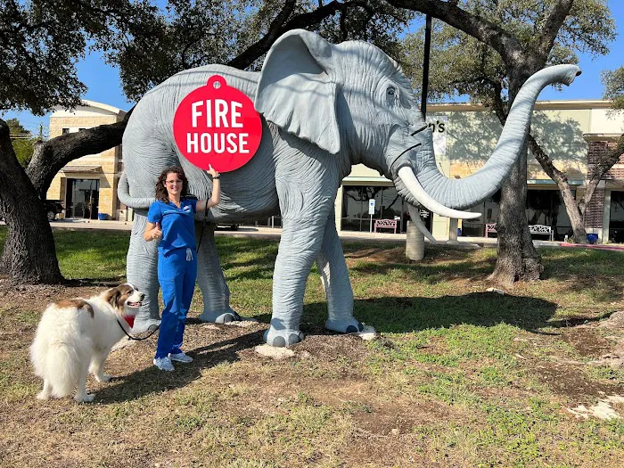 Firehouse Animal Health Center 183 Picture 3