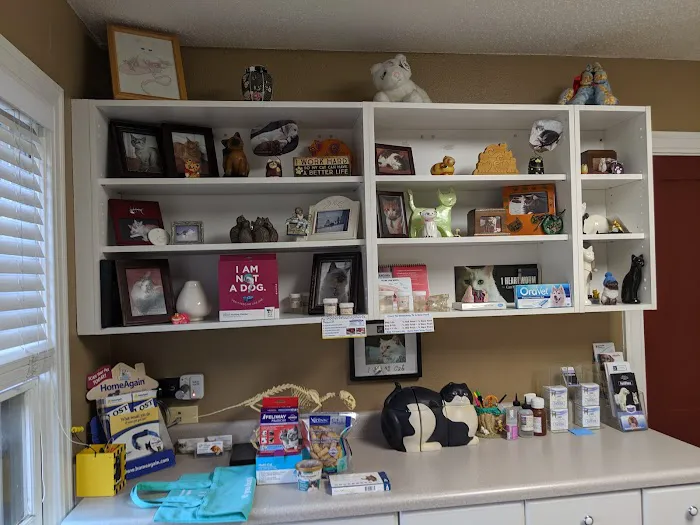Cat Hospital of Austin Picture 5