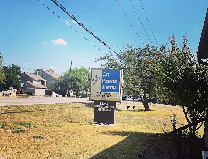 Cat Hospital of Austin Picture 1