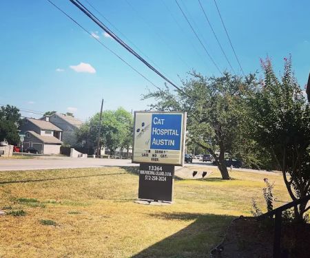 Cat Hospital of Austin