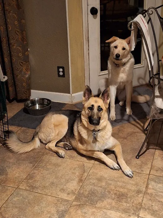 Affordable Pet Care Picture 4