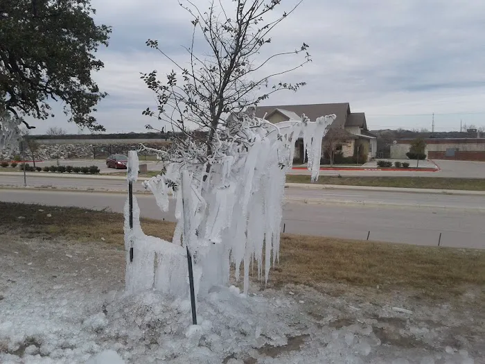 Avery Ranch Animal Hospital Picture 7