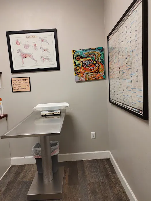 Best Vet Picture 9