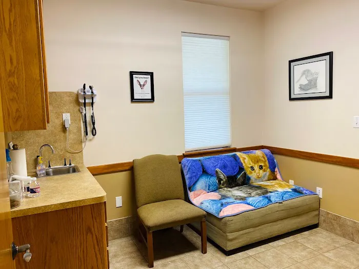 Cornerstone Animal Hospital Picture 6