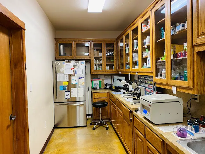 Cornerstone Animal Hospital Picture 9