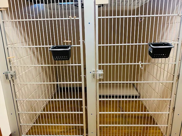 Cornerstone Animal Hospital Picture 7