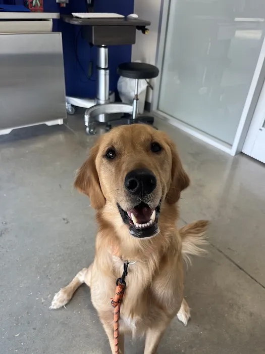 Firehouse Animal Health Center Kyle Picture 5