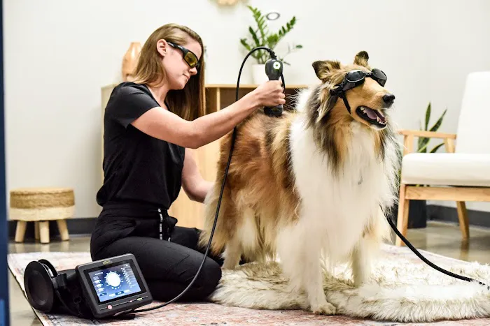 Back in Motion Veterinary Services Picture 2