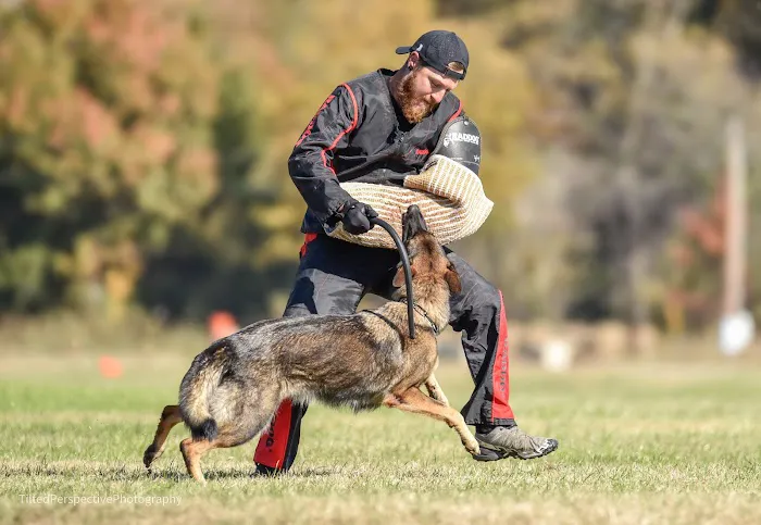 Back in Motion Veterinary Services Picture 1