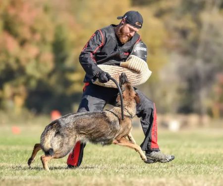 Back in Motion Veterinary Services