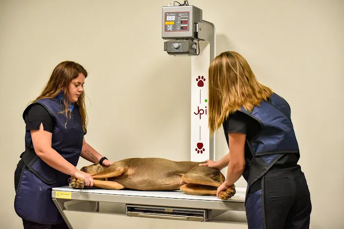 Back in Motion Veterinary Services Picture 5