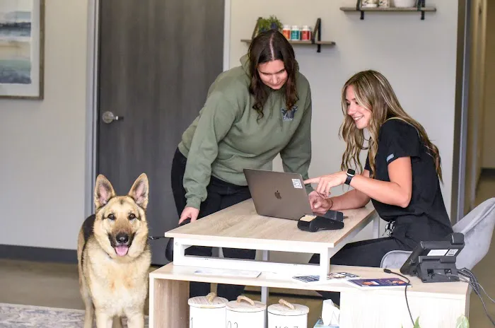 Back in Motion Veterinary Services Picture 8