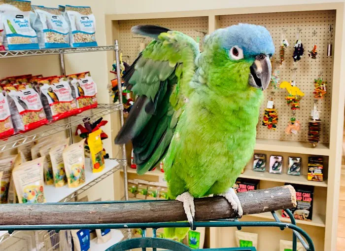 Summertree Animal & Bird Clinic Picture 5