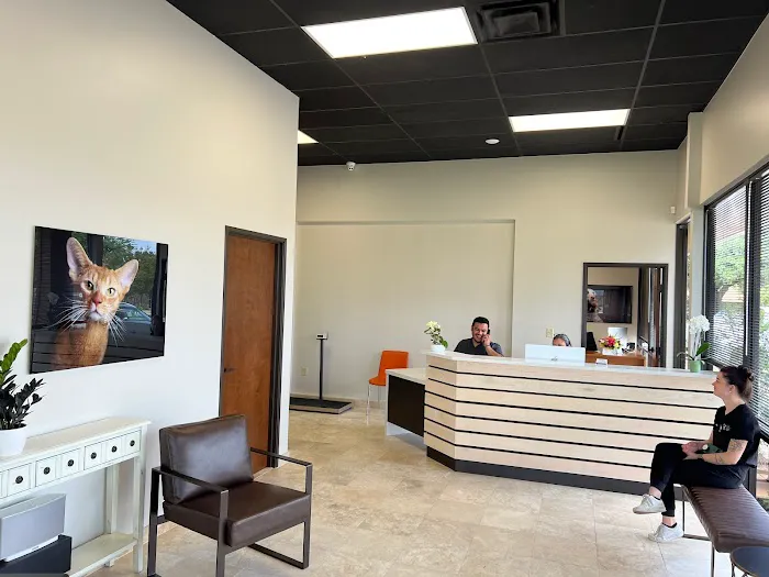 Blink Veterinary Eye Specialists Picture 3