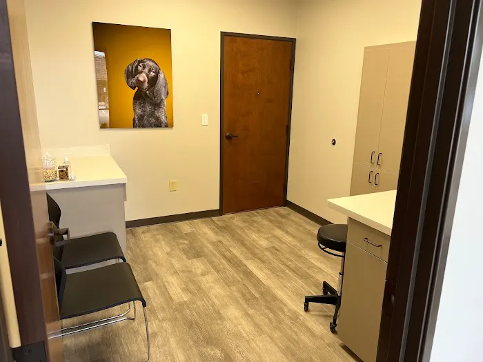 Blink Veterinary Eye Specialists Picture 9
