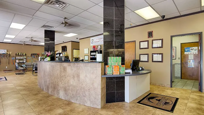 Cornerstone Animal Clinic Picture 1