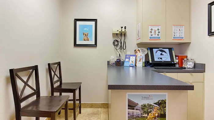 Cornerstone Animal Clinic Picture 7