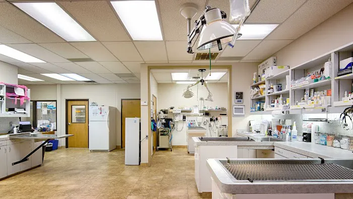 Cornerstone Animal Clinic Picture 6