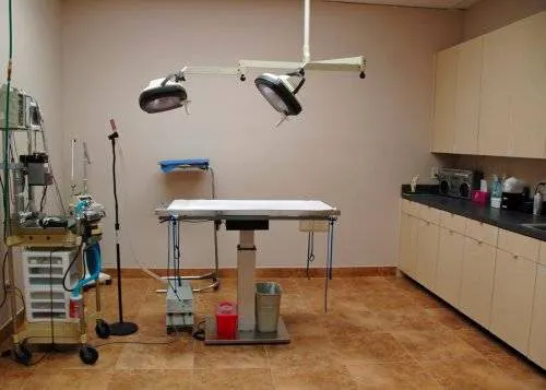 Dr. Ben Morse Picture 1