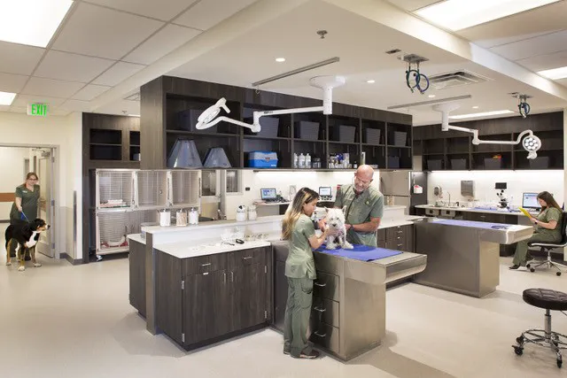 Riverwalk Pet Hospital & Resort Picture 8