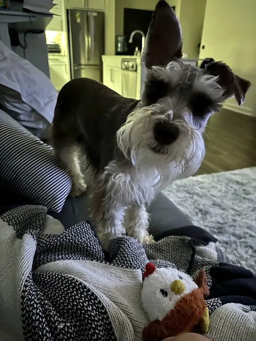 Riverwalk Pet Hospital & Resort Picture 9