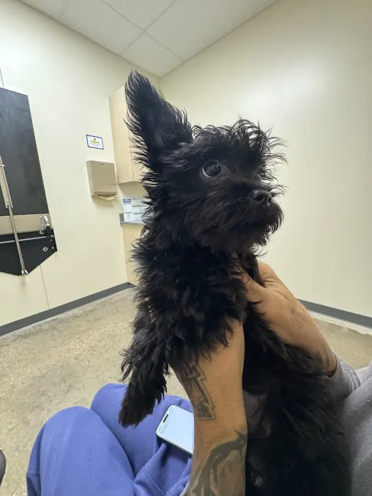 Vetco Total Care Animal Hospital Picture 8