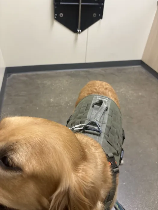 Vetco Total Care Animal Hospital Picture 4