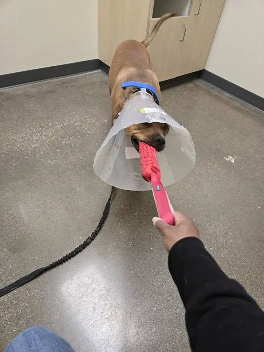 Vetco Total Care Animal Hospital Picture 5