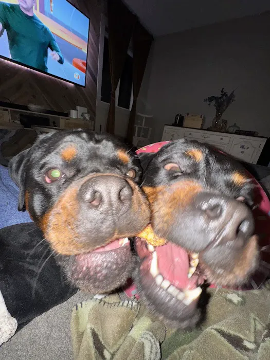 Spay Neuter Society Picture 10