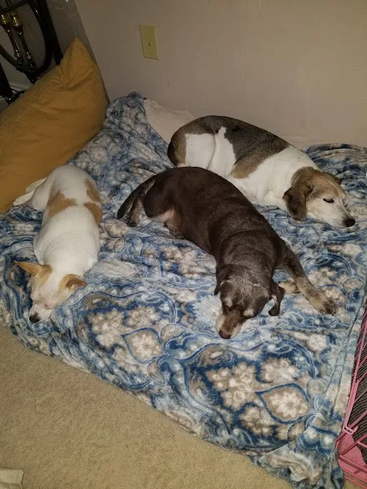 Banfield Pet Hospital Picture 5