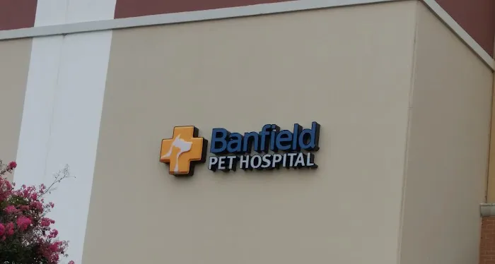 Banfield Pet Hospital Picture 8