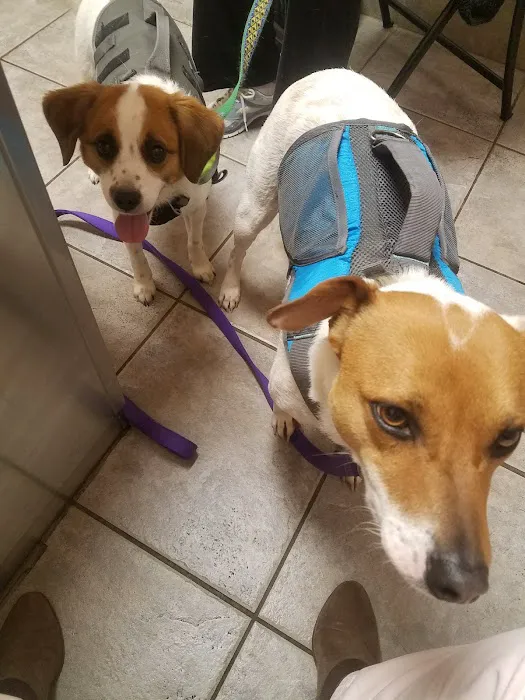 Lone Star Veterinary Clinic Picture 4