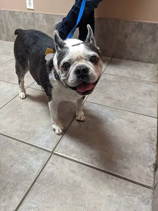 Lone Star Veterinary Clinic Picture 5