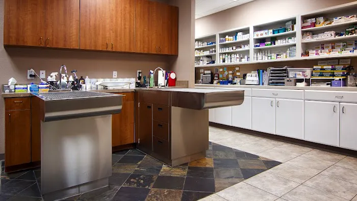 Lone Star Veterinary Clinic Picture 10