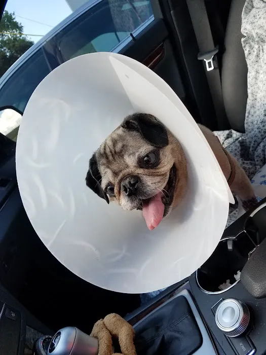 Banfield Pet Hospital Picture 1