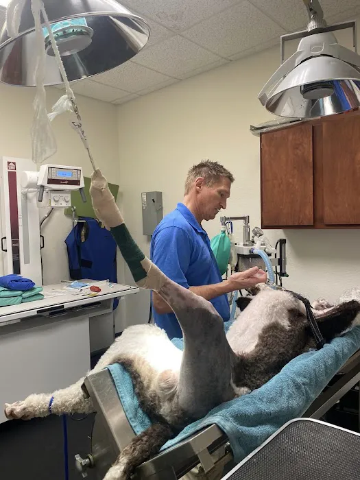 Advanced Care Veterinary Services Picture 5