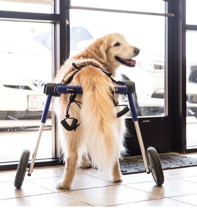 Advanced Care Veterinary Services Picture 8