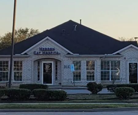 Hebron Cat Hospital