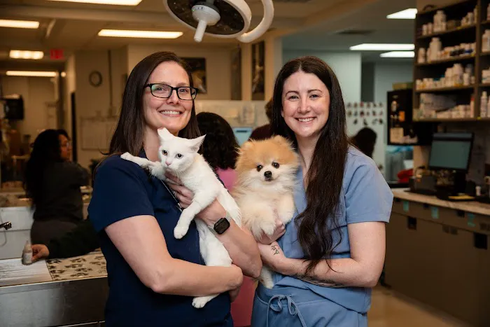 Dallas Animal Urgent Care Picture 1