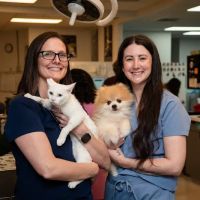 Dallas Animal Urgent Care ico