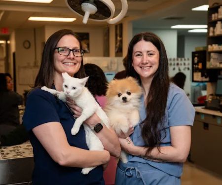 Dallas Animal Urgent Care