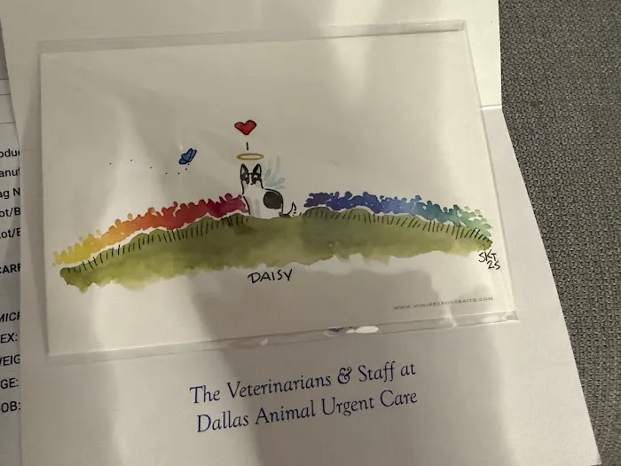 Dallas Animal Urgent Care Picture 10