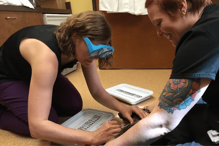 All Clear Veterinary Dermatology Picture 4