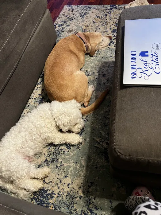 Cy-Fair Animal Hospital Picture 3