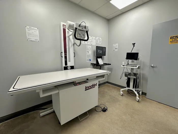 Cy-Fair Animal Hospital Picture 4