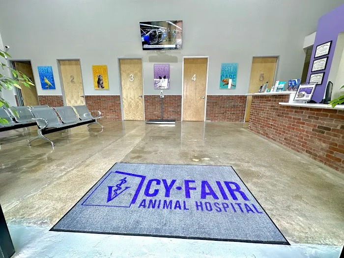Cy-Fair Animal Hospital Picture 10