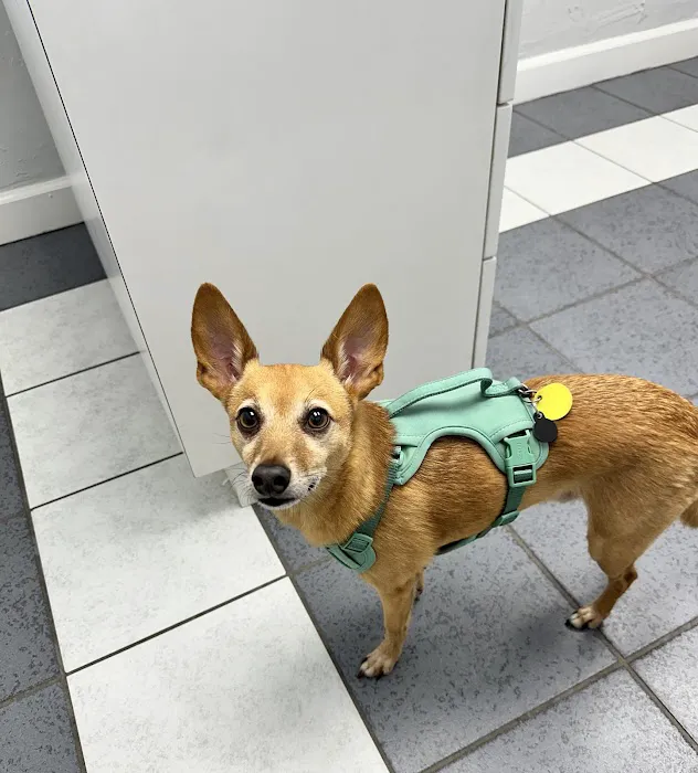 Preston Road Animal Hospital Picture 7