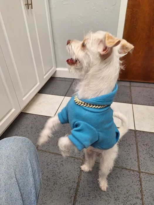 Preston Road Animal Hospital Picture 10
