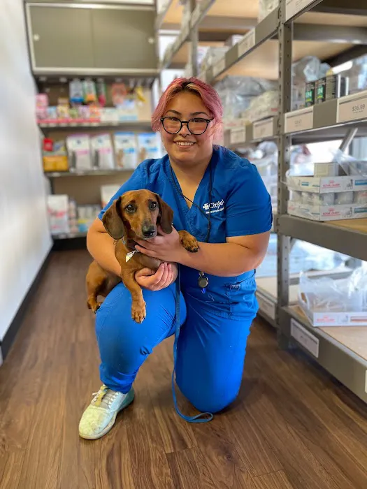 CityVet | Addison Picture 8
